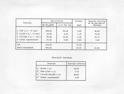 Declorurazione del D.D.T. in anofeli sensibili e resistenti
