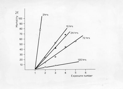 Grafici riguardanti gli effetti cumulativi di dosi sub-letali