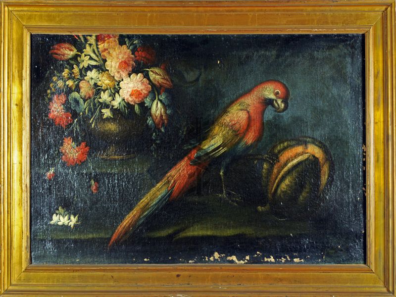 dipinto Natura morta (pappagallo con melone)