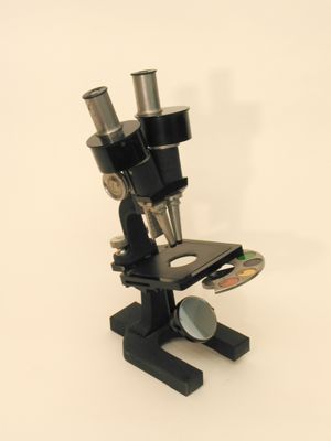 Microscopio strereoscopico