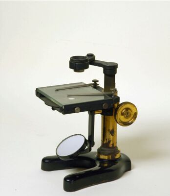 Microscopio semplice da dissezione Leitz