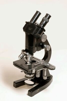 Microscopio binoculare